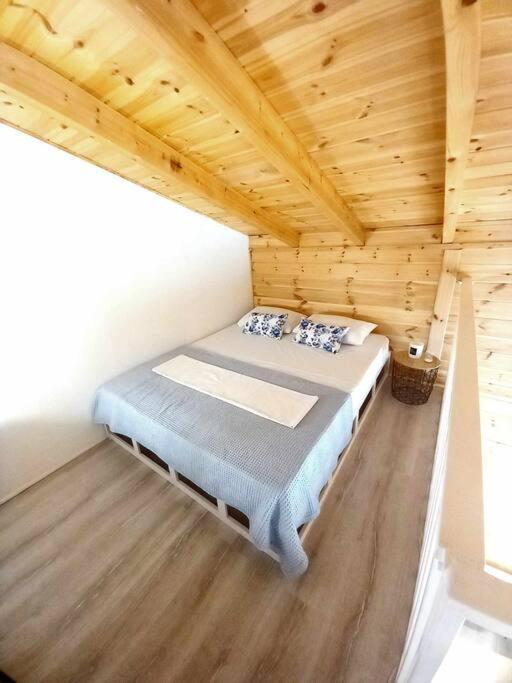 Apartment Divine B2
